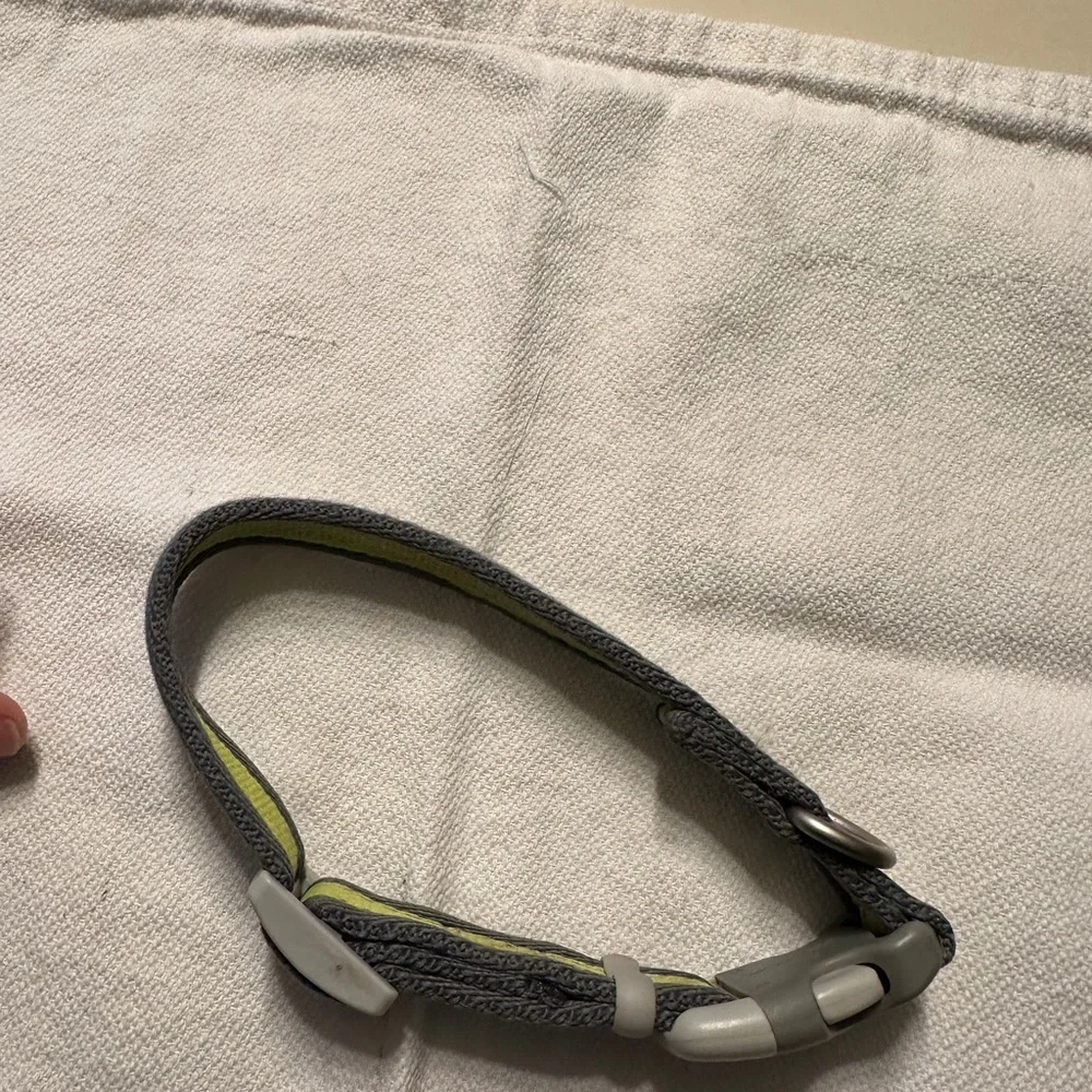 Coastal Dog Collar Small Bright Yellow Green